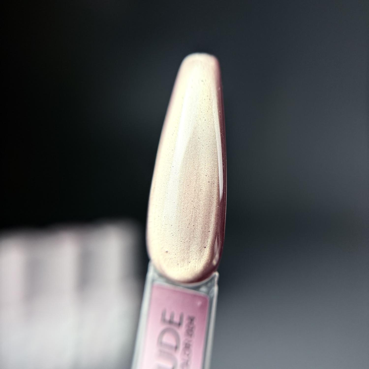 Ta2 / GEL POLISH WISH NUDE №004