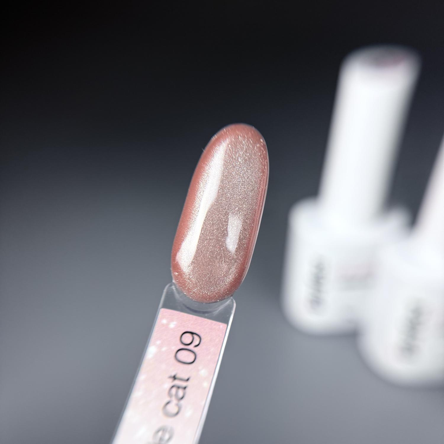 Гель-лак iPerfect Nude cat color 09, 10г