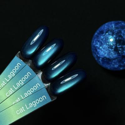Гель-лак iPerfect Lagoon cat color, 10г