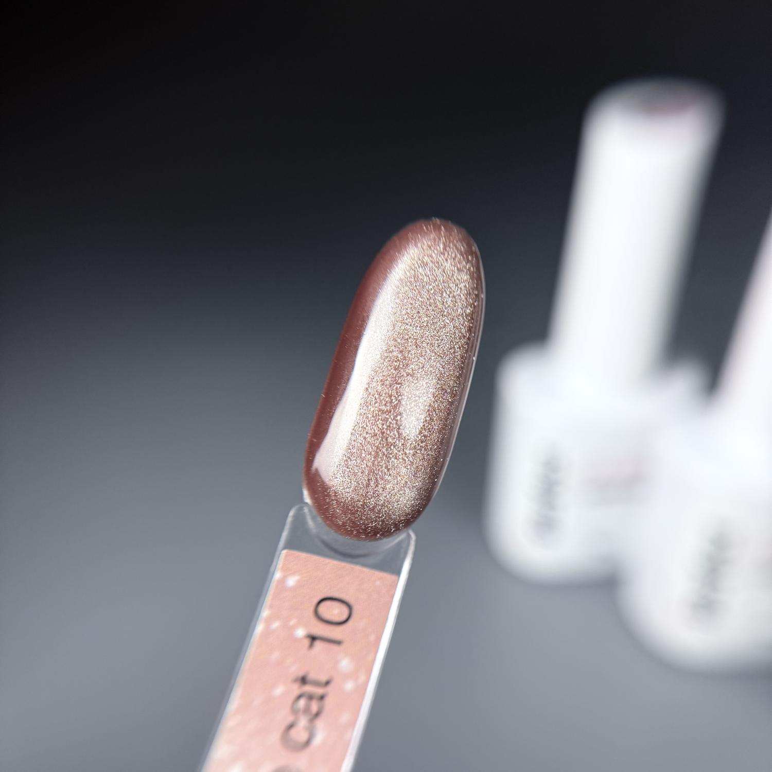 Гель-лак iPerfect Nude cat color 10, 10г