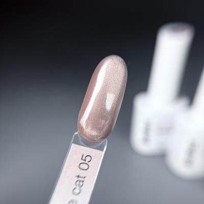 Гель-лак iPerfect Nude cat color 05, 10г