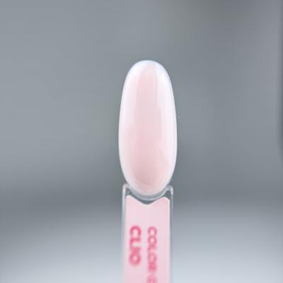 PAINT ME Гель-лак CLIO 491 12 ml