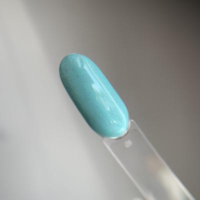 Гель-лак Holy Molly PUDDING №13 11ml