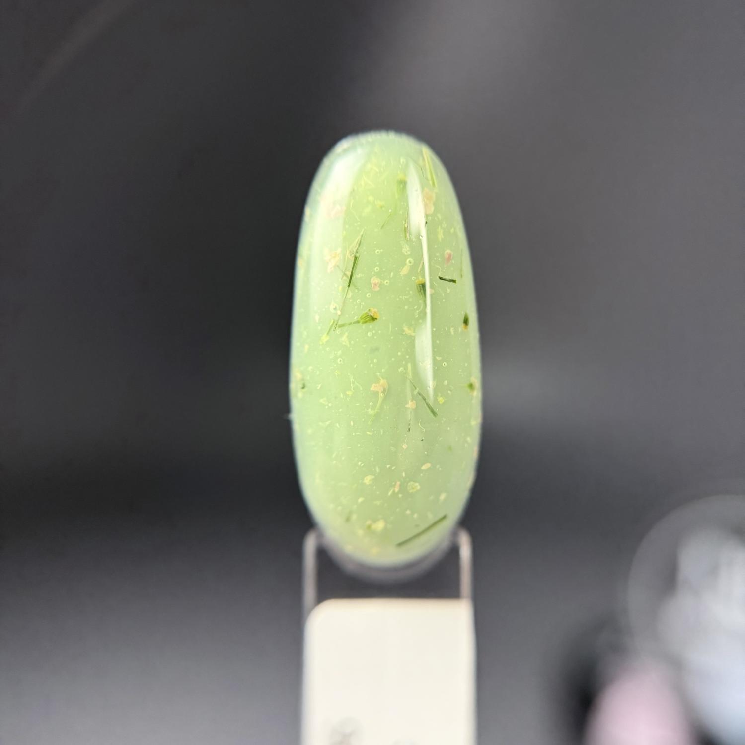 NR Garden gel с сухоцветами №296 (15 гр)