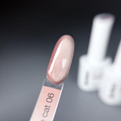 Гель-лак iPerfect Nude cat color 06, 10г