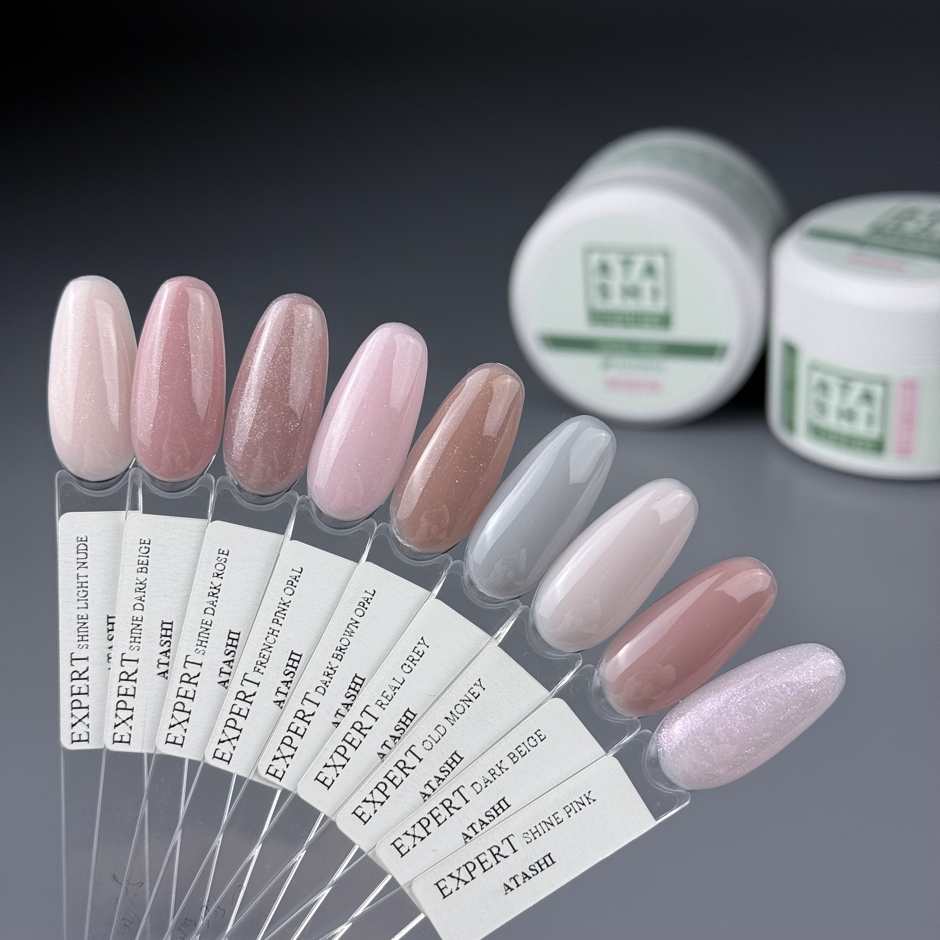 ATASHI EXPERT gel HEMA FREE Ecotech, Shine Light Nude,15мл