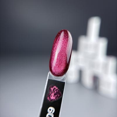 Гель-лак iPerfect Ruby cat color 09, 10г