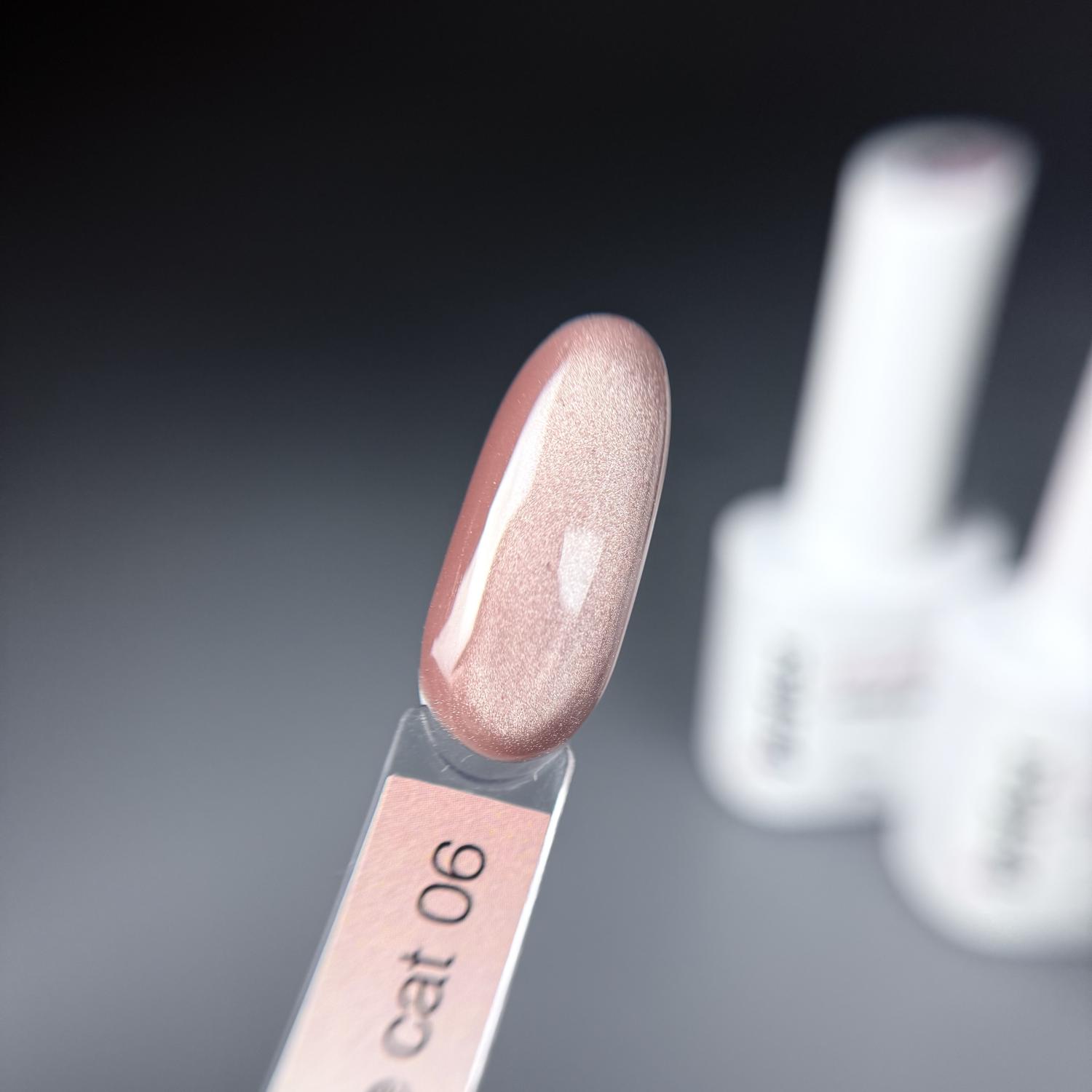 Гель-лак iPerfect Nude cat color 06, 10г