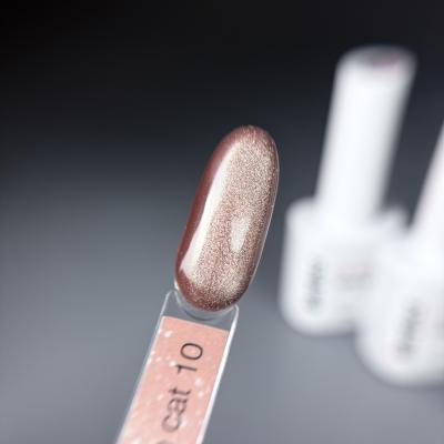 Гель-лак iPerfect Nude cat color 10, 10г