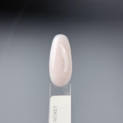 ATASHI EXPERT gel HEMA FREE Ecotech, Old Money,15мл
