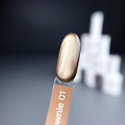Гель-лак iPerfect Brownie cat color 01, 10г