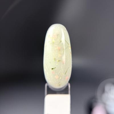 NR Garden gel с сухоцветами №297 (15 гр)